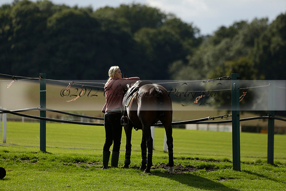 Aryana (black) v Shoreline (yellow) in a Farewell Cup polo match played on Ambersham 5 at Cowdray Park Polo Club on Wednesday 18 September 2013. www.polopictures.co.uk