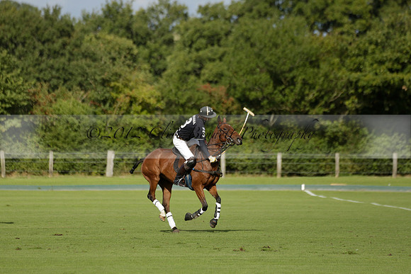 Aryana (black) v Shoreline (yellow) in a Farewell Cup polo match played on Ambersham 5 at Cowdray Park Polo Club on Wednesday 18 September 2013. www.polopictures.co.uk