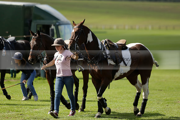 Four Quarters Black (black) v BHC (red) in a Autumn Cup polo match on Ambersham 2 at Cowdray Park Polo Club on Friday 20 September 2013 www.polopictures.co.uk