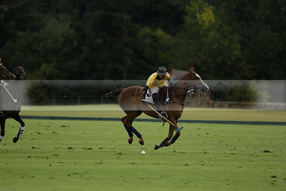 Maiz Dulce (green) v Las Esterellas (yellow) in the PSI Final polo match at Cowdray Park Polo Club on Ambersham 2 on Sunday 2013.09.08 www.polopictures.co.uk