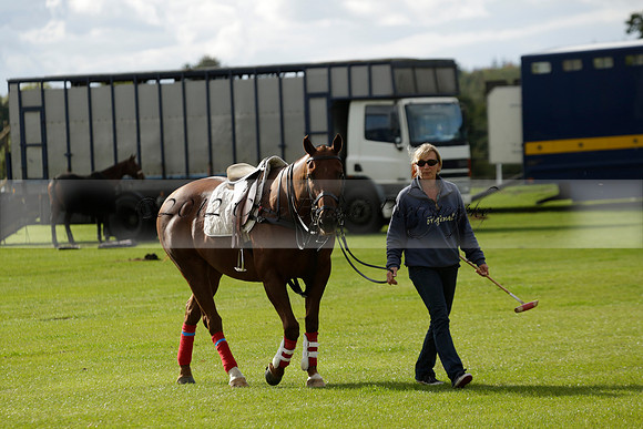 Aryana (black) v Shoreline (yellow) in a Farewell Cup polo match played on Ambersham 5 at Cowdray Park Polo Club on Wednesday 18 September 2013. www.polopictures.co.uk