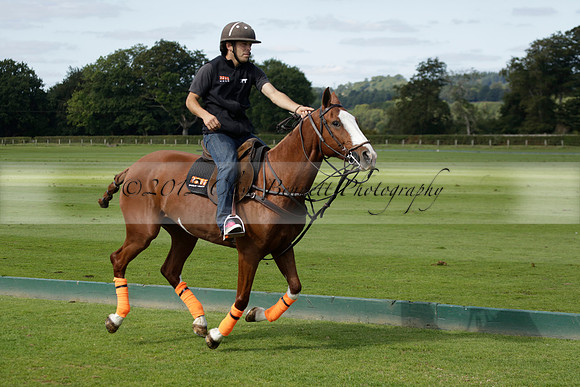 Four Quarters Black (black) v BHC (red) in a Autumn Cup polo match on Ambersham 2 at Cowdray Park Polo Club on Friday 20 September 2013 www.polopictures.co.uk