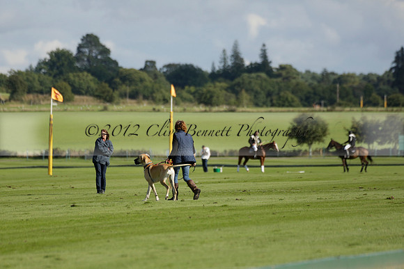 Aryana (black) v Shoreline (yellow) in a Farewell Cup polo match played on Ambersham 5 at Cowdray Park Polo Club on Wednesday 18 September 2013. www.polopictures.co.uk