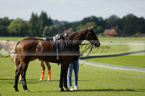 Four Quarters Black (black) v BHC (red) in a Autumn Cup polo match on Ambersham 2 at Cowdray Park Polo Club on Friday 20 September 2013 www.polopictures.co.uk