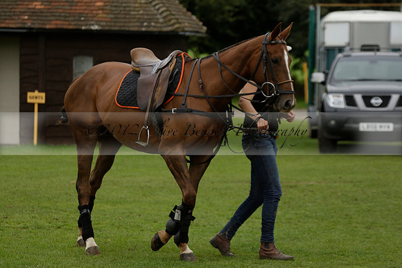 Four Quarters Black (black) v Clashleigh (red) in the Autumn Cup subsidiary final polo match on Ambersham 2 at Cowdray Park Polo Club on Sunday 22 September 2013 www.polopictures.co.uk
