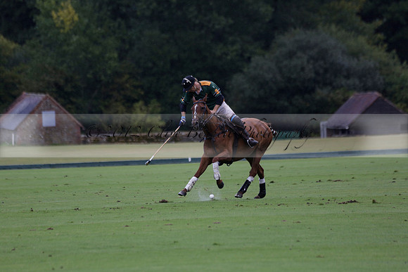 Maiz Dulce (green) v Las Esterellas (yellow) in the PSI Final polo match at Cowdray Park Polo Club on Ambersham 2 on Sunday 2013.09.08 www.polopictures.co.uk