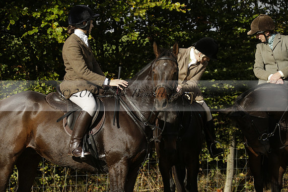 Devon & Somerset StagHounds meet at Five Cross Ways on Thursday 17 October 2013. 2013.10.17 www.polopictures.co.uk
