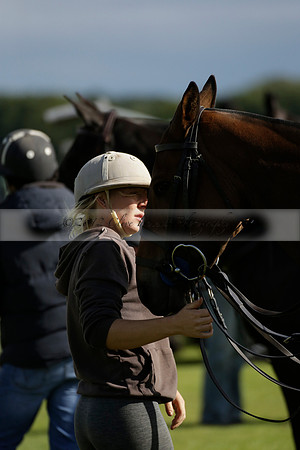 Aryana (black) v Shoreline (yellow) in a Farewell Cup polo match played on Ambersham 5 at Cowdray Park Polo Club on Wednesday 18 September 2013. www.polopictures.co.uk