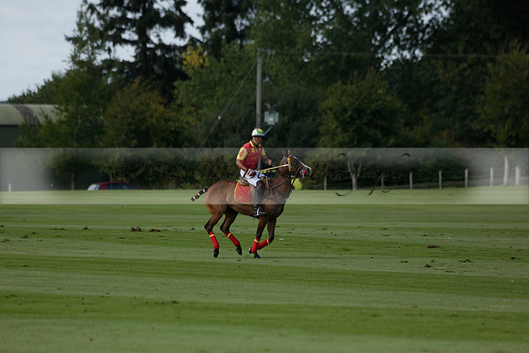 Four Quarters Black (black) v BHC (red) in a Autumn Cup polo match on Ambersham 2 at Cowdray Park Polo Club on Friday 20 September 2013 www.polopictures.co.uk
