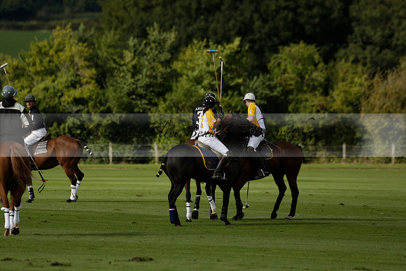 Aryana (black) v Shoreline (yellow) in a Farewell Cup polo match played on Ambersham 5 at Cowdray Park Polo Club on Wednesday 18 September 2013. www.polopictures.co.uk