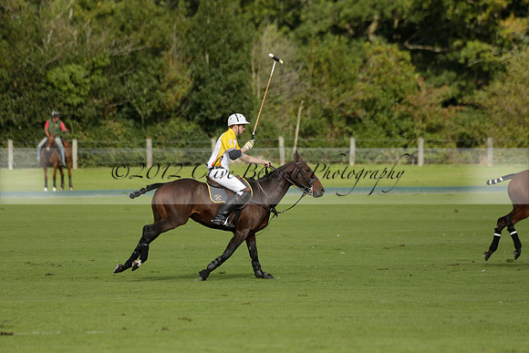 Aryana (black) v Shoreline (yellow) in a Farewell Cup polo match played on Ambersham 5 at Cowdray Park Polo Club on Wednesday 18 September 2013. www.polopictures.co.uk