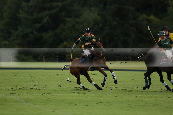 Maiz Dulce (green) v Las Esterellas (yellow) in the PSI Final polo match at Cowdray Park Polo Club on Ambersham 2 on Sunday 2013.09.08 www.polopictures.co.uk