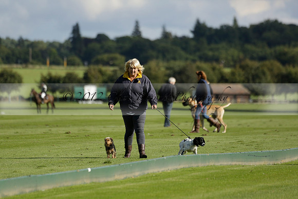 Aryana (black) v Shoreline (yellow) in a Farewell Cup polo match played on Ambersham 5 at Cowdray Park Polo Club on Wednesday 18 September 2013. www.polopictures.co.uk