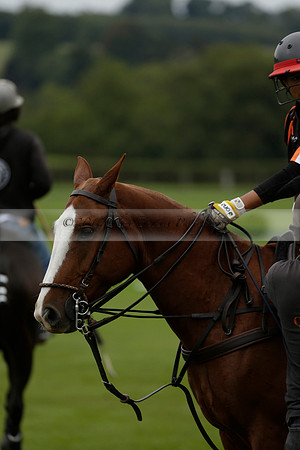 Four Quarters Black (black) v Clashleigh (red) in the Autumn Cup subsidiary final polo match on Ambersham 2 at Cowdray Park Polo Club on Sunday 22 September 2013 www.polopictures.co.uk