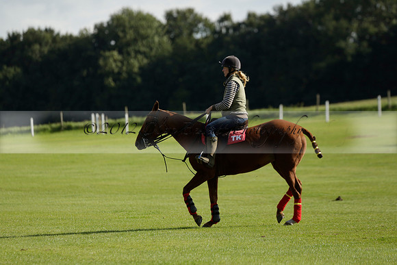 Aryana (black) v Shoreline (yellow) in a Farewell Cup polo match played on Ambersham 5 at Cowdray Park Polo Club on Wednesday 18 September 2013. www.polopictures.co.uk