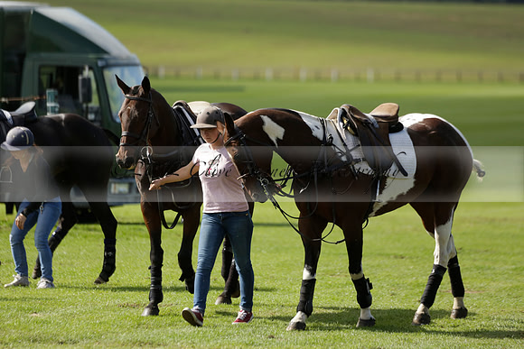 Four Quarters Black (black) v BHC (red) in a Autumn Cup polo match on Ambersham 2 at Cowdray Park Polo Club on Friday 20 September 2013 www.polopictures.co.uk