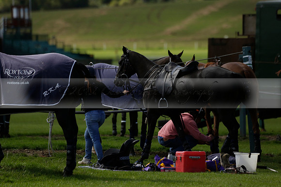 Four Quarters Black (black) v BHC (red) in a Autumn Cup polo match on Ambersham 2 at Cowdray Park Polo Club on Friday 20 September 2013 www.polopictures.co.uk