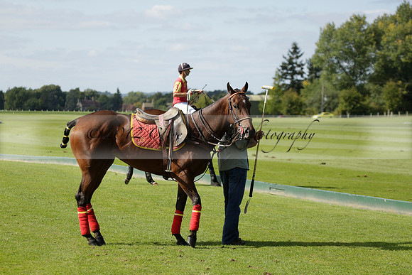 Four Quarters Black (black) v BHC (red) in a Autumn Cup polo match on Ambersham 2 at Cowdray Park Polo Club on Friday 20 September 2013 www.polopictures.co.uk