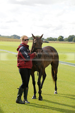Maiz Dulce (green) v Las Esterellas (yellow) in the PSI Final polo match at Cowdray Park Polo Club on Ambersham 2 on Sunday 2013.09.08 www.polopictures.co.uk