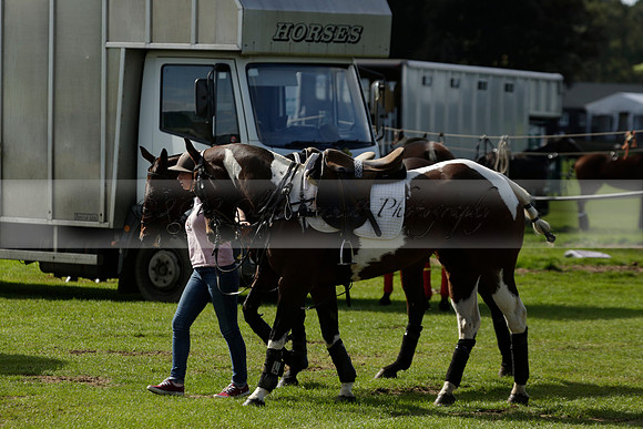 Four Quarters Black (black) v BHC (red) in a Autumn Cup polo match on Ambersham 2 at Cowdray Park Polo Club on Friday 20 September 2013 www.polopictures.co.uk