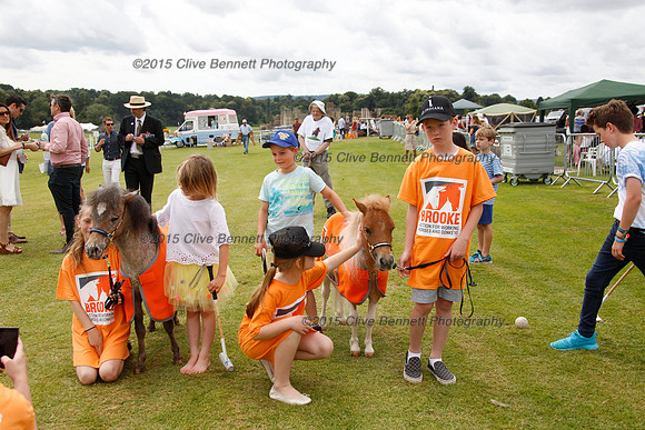 _CB_8273