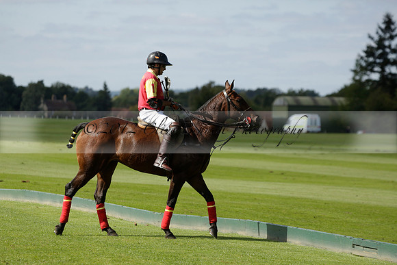 Four Quarters Black (black) v BHC (red) in a Autumn Cup polo match on Ambersham 2 at Cowdray Park Polo Club on Friday 20 September 2013 www.polopictures.co.uk