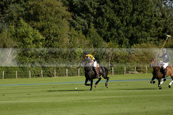Aryana (black) v Shoreline (yellow) in a Farewell Cup polo match played on Ambersham 5 at Cowdray Park Polo Club on Wednesday 18 September 2013. www.polopictures.co.uk