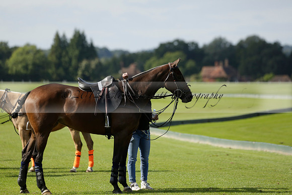 Four Quarters Black (black) v BHC (red) in a Autumn Cup polo match on Ambersham 2 at Cowdray Park Polo Club on Friday 20 September 2013 www.polopictures.co.uk