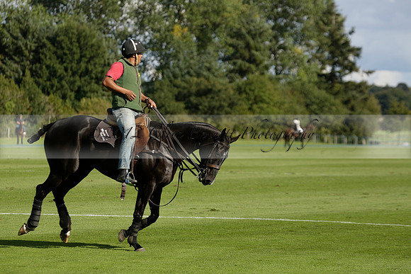 Aryana (black) v Shoreline (yellow) in a Farewell Cup polo match played on Ambersham 5 at Cowdray Park Polo Club on Wednesday 18 September 2013. www.polopictures.co.uk