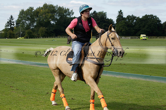 Four Quarters Black (black) v BHC (red) in a Autumn Cup polo match on Ambersham 2 at Cowdray Park Polo Club on Friday 20 September 2013 www.polopictures.co.uk