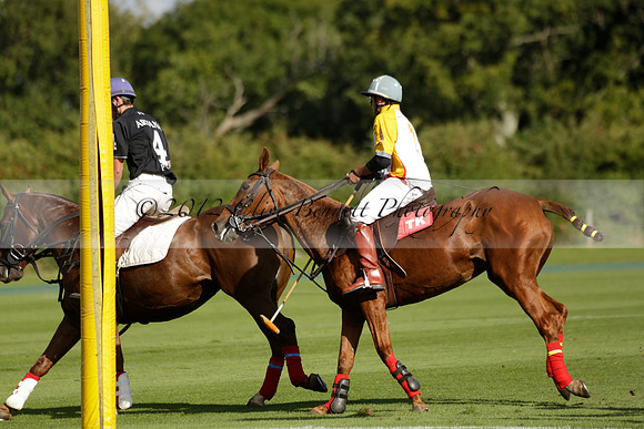 Aryana (black) v Shoreline (yellow) in a Farewell Cup polo match played on Ambersham 5 at Cowdray Park Polo Club on Wednesday 18 September 2013. www.polopictures.co.uk
