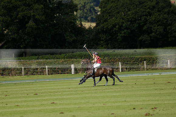 Four Quarters Black (black) v BHC (red) in a Autumn Cup polo match on Ambersham 2 at Cowdray Park Polo Club on Friday 20 September 2013 www.polopictures.co.uk