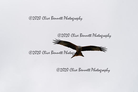 _CAB6771