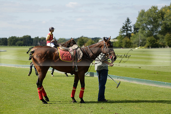 Four Quarters Black (black) v BHC (red) in a Autumn Cup polo match on Ambersham 2 at Cowdray Park Polo Club on Friday 20 September 2013 www.polopictures.co.uk