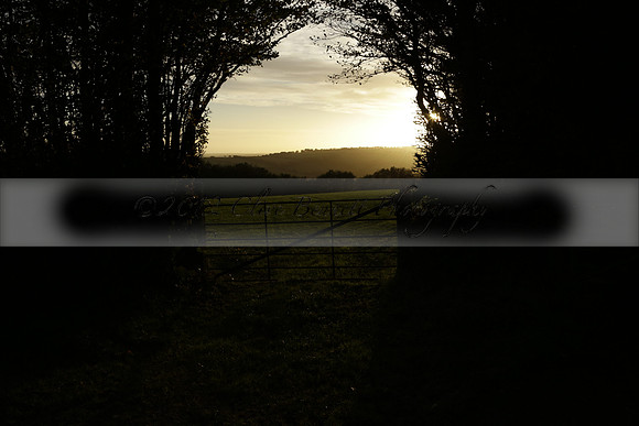 10th World Bolving Championships at Draydon Rails, Dulverton. North Devon. 2013.10.19 www.polopictures.co.uk