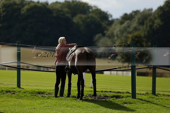 Aryana (black) v Shoreline (yellow) in a Farewell Cup polo match played on Ambersham 5 at Cowdray Park Polo Club on Wednesday 18 September 2013. www.polopictures.co.uk