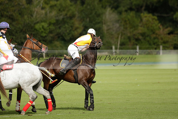 Aryana (black) v Shoreline (yellow) in a Farewell Cup polo match played on Ambersham 5 at Cowdray Park Polo Club on Wednesday 18 September 2013. www.polopictures.co.uk