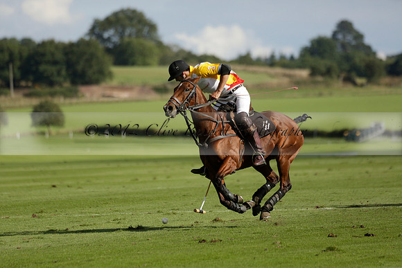Aryana (black) v Shoreline (yellow) in a Farewell Cup polo match played on Ambersham 5 at Cowdray Park Polo Club on Wednesday 18 September 2013. www.polopictures.co.uk