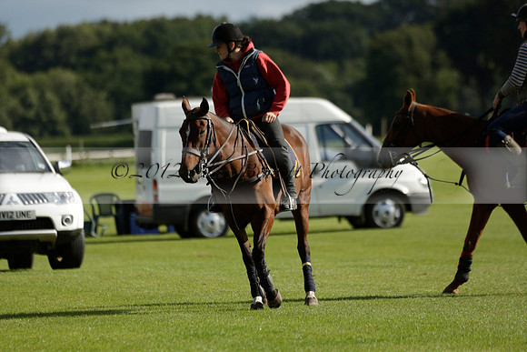 Aryana (black) v Shoreline (yellow) in a Farewell Cup polo match played on Ambersham 5 at Cowdray Park Polo Club on Wednesday 18 September 2013. www.polopictures.co.uk