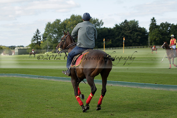 Four Quarters Black (black) v BHC (red) in a Autumn Cup polo match on Ambersham 2 at Cowdray Park Polo Club on Friday 20 September 2013 www.polopictures.co.uk