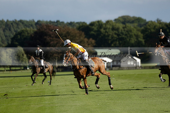 Aryana (black) v Shoreline (yellow) in a Farewell Cup polo match played on Ambersham 5 at Cowdray Park Polo Club on Wednesday 18 September 2013. www.polopictures.co.uk