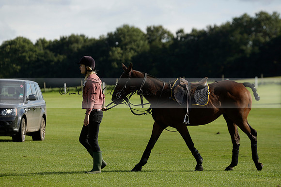 Aryana (black) v Shoreline (yellow) in a Farewell Cup polo match played on Ambersham 5 at Cowdray Park Polo Club on Wednesday 18 September 2013. www.polopictures.co.uk