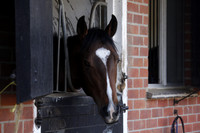 Morestead_CB_6163