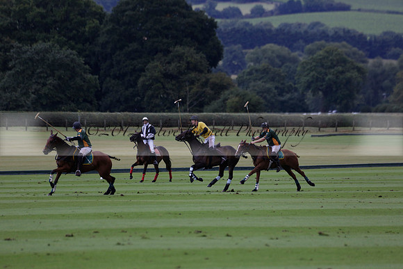 Maiz Dulce (green) v Las Esterellas (yellow) in the PSI Final polo match at Cowdray Park Polo Club on Ambersham 2 on Sunday 2013.09.08 www.polopictures.co.uk