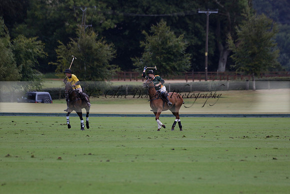 Maiz Dulce (green) v Las Esterellas (yellow) in the PSI Final polo match at Cowdray Park Polo Club on Ambersham 2 on Sunday 2013.09.08 www.polopictures.co.uk