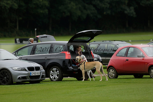 Four Quarters Black (black) v Clashleigh (red) in the Autumn Cup subsidiary final polo match on Ambersham 2 at Cowdray Park Polo Club on Sunday 22 September 2013 www.polopictures.co.uk