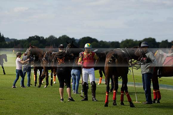 Four Quarters Black (black) v BHC (red) in a Autumn Cup polo match on Ambersham 2 at Cowdray Park Polo Club on Friday 20 September 2013 www.polopictures.co.uk