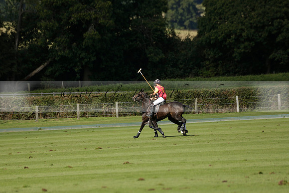 Four Quarters Black (black) v BHC (red) in a Autumn Cup polo match on Ambersham 2 at Cowdray Park Polo Club on Friday 20 September 2013 www.polopictures.co.uk