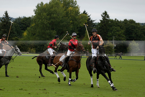 Four Quarters Black (black) v Clashleigh (red) in the Autumn Cup subsidiary final polo match on Ambersham 2 at Cowdray Park Polo Club on Sunday 22 September 2013 www.polopictures.co.uk