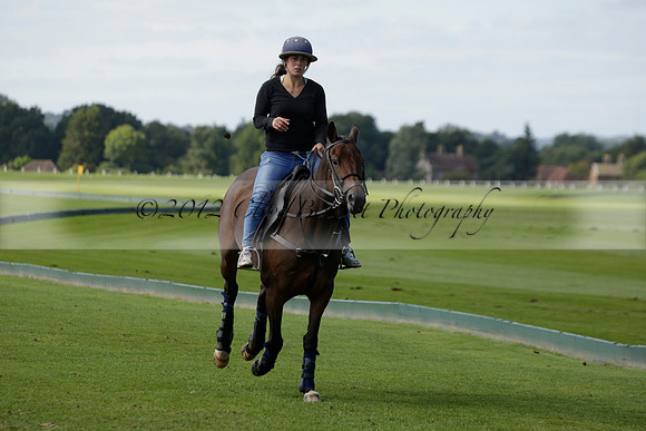 Four Quarters Black (black) v BHC (red) in a Autumn Cup polo match on Ambersham 2 at Cowdray Park Polo Club on Friday 20 September 2013 www.polopictures.co.uk